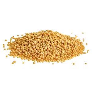 Semilla Mostaza Amarilla