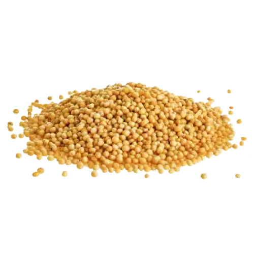Semilla Mostaza Amarilla