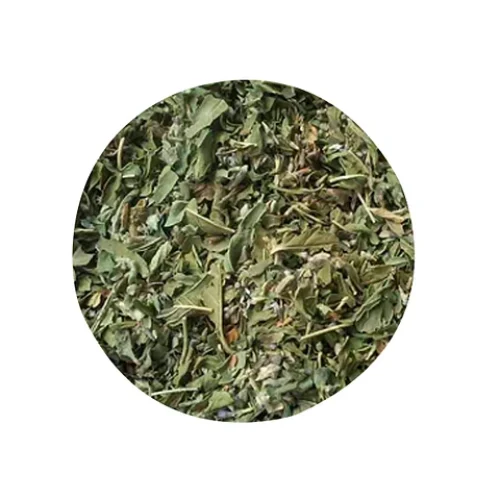 Menta