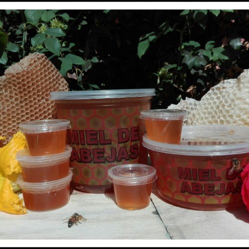 Miel Multifloral – 1 KG